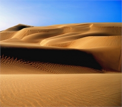 2886320940-desert-and-dunes-venezuela.jpg