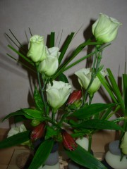 fleurs 1.JPG
